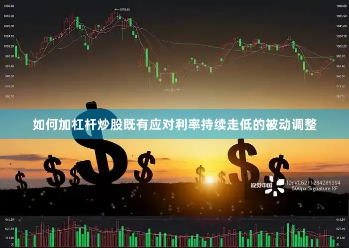如何加杠杆炒股既有应对利率持续走低的被动调整
