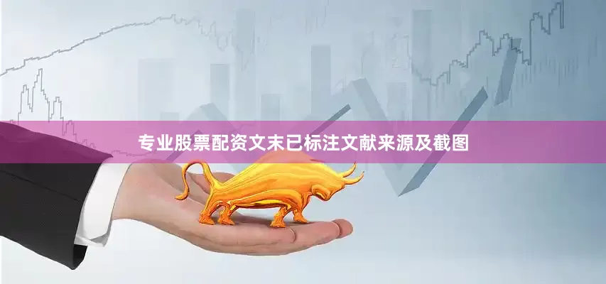 专业股票配资文末已标注文献来源及截图