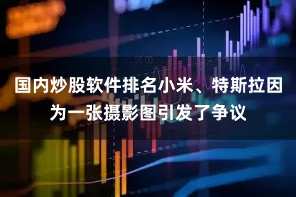 国内炒股软件排名小米、特斯拉因为一张摄影图引发了争议