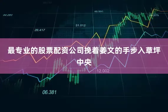 最专业的股票配资公司挽着姜文的手步入草坪中央